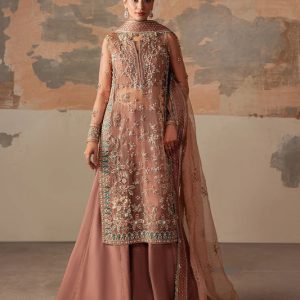 Solaris By Ayzel Embroidered Wedding Formals'25 Unstitched 3 Piece